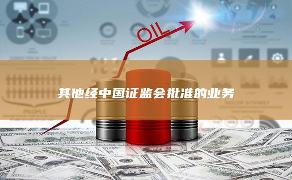 其他經(jīng)中國證監(jiān)會(huì)批準(zhǔn)的業(yè)務(wù)