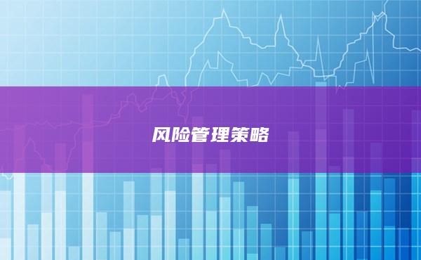 風(fēng)險管理策略