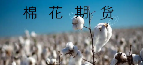 鄭商所征收棉花期貨2209和2211日內(nèi)平今手續(xù)費(fèi)(圖1)
